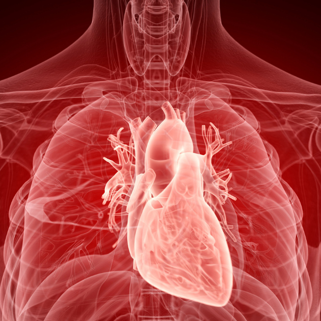 The impact of snoring on your heart